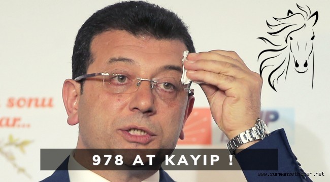 İBB Tarafından Satın Alınan Bin 200 Attan 978 At Kayıp