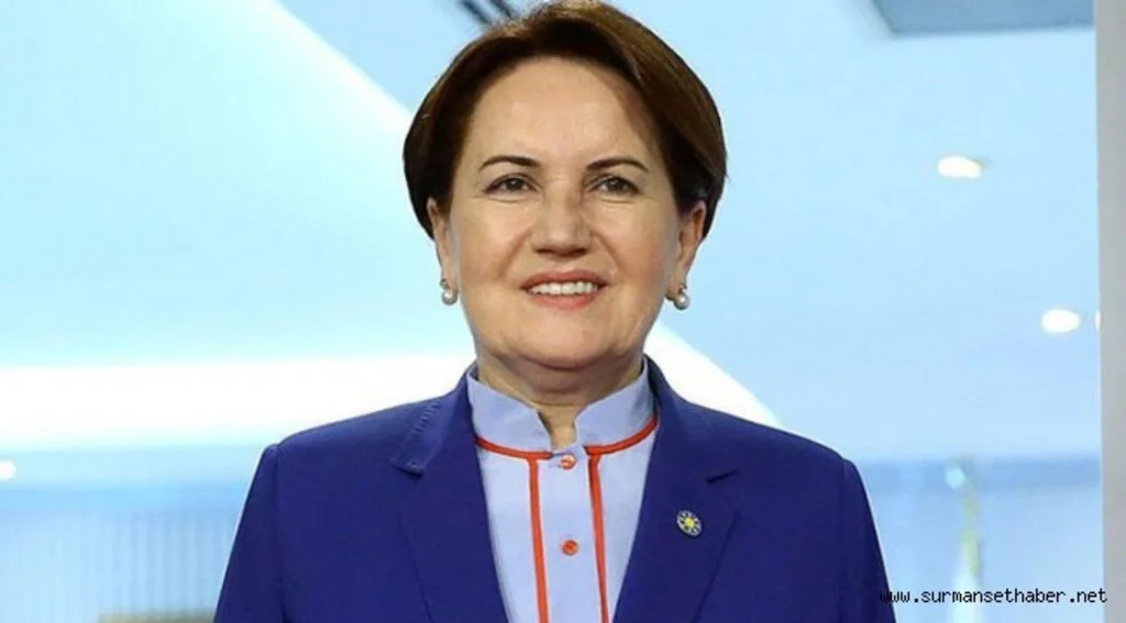 İYİ Parti Genel Başkanı Meral Akşener’in, 3 Mayıs Türkçülük Günü dolayısıyla yayınladığı 