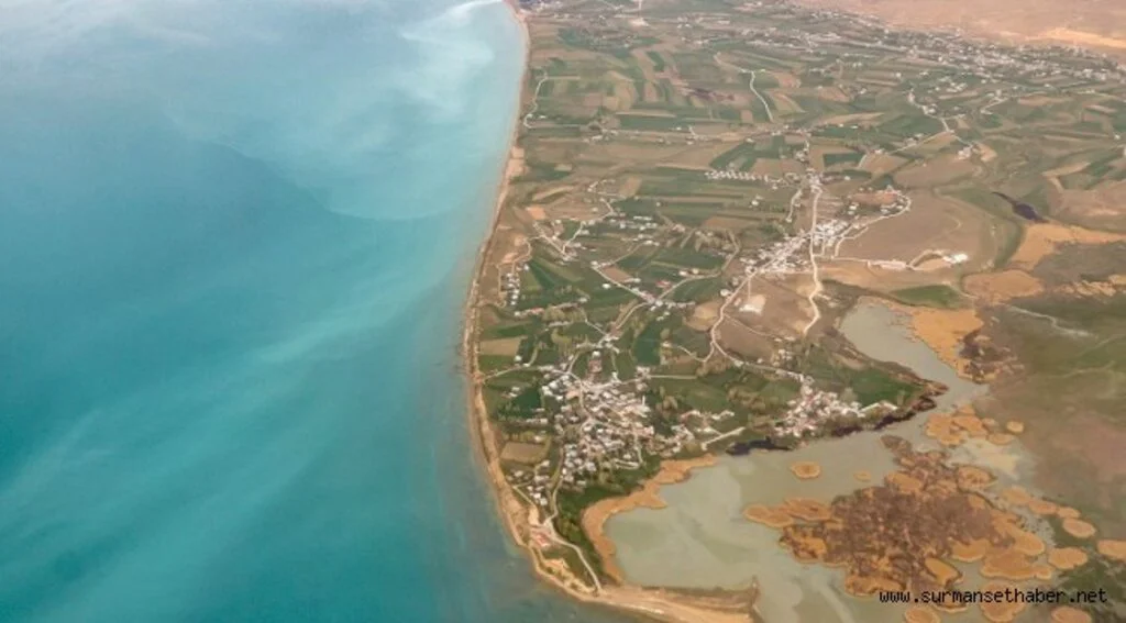 Van Gölü'ndeki kirlilik sorunu 'koruma eylem planı'yla çözülecek