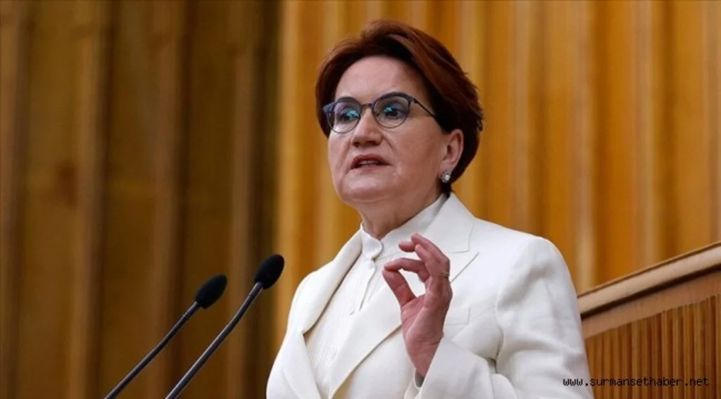 Akşener: Toplumun yüzde 75'i iklim kriziyle mücadele edilmesi gerektiğine inanıyor