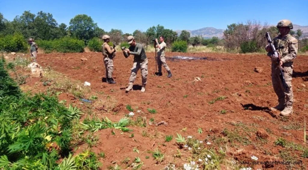 Diyarbakır'da Dev Uyuşturucu Operasyonu