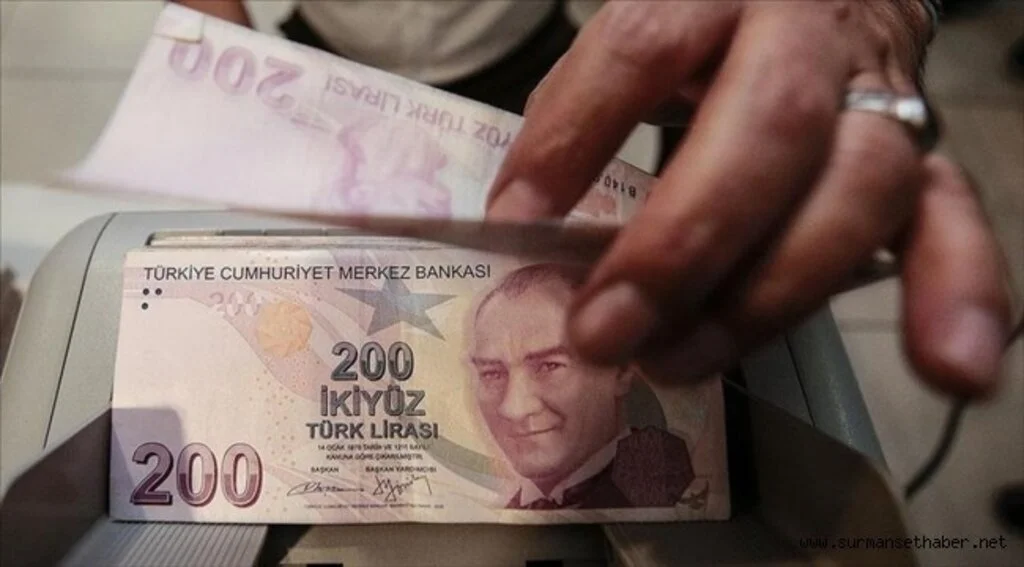 Esnafa yönelik hibe desteğinde başvuru süresi 1 Temmuz'a uzatıldı