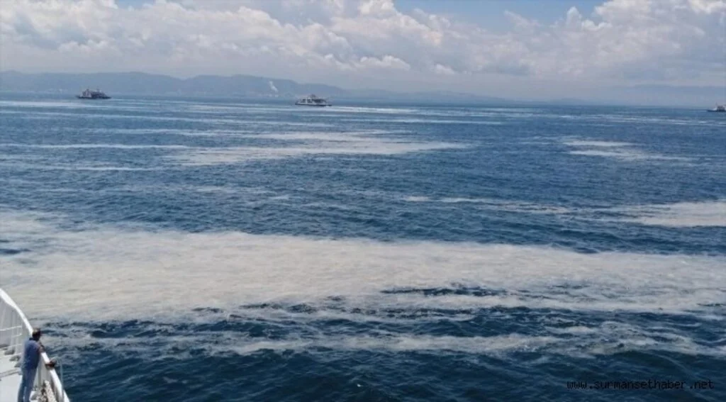 İzmit Körfezi'nde müsilaj etkisini sürdürüyor