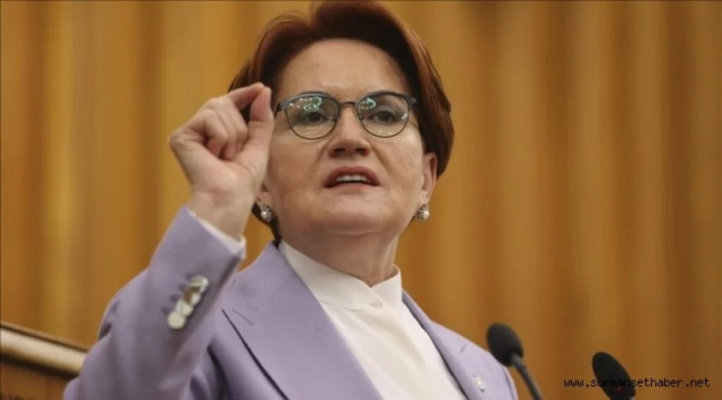 Meral Akşener: "Kısa çalışma ödeneği süresi uzatılsın"