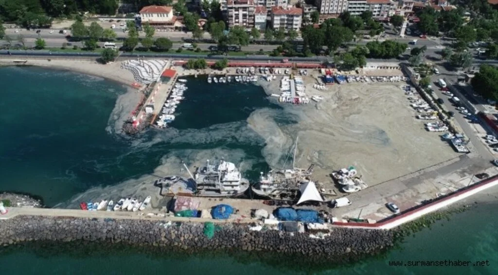 Tekirdağ'da lodos nedeniyle kıyılara müsilaj geri geldi