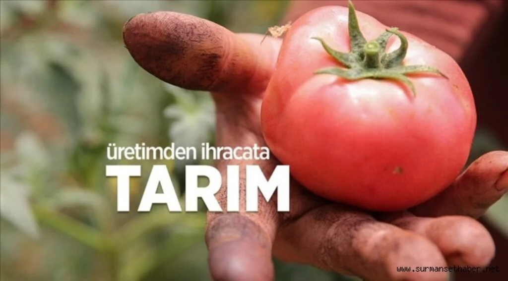 Üretici kırsal kalkınma destekleriyle güçleniyor