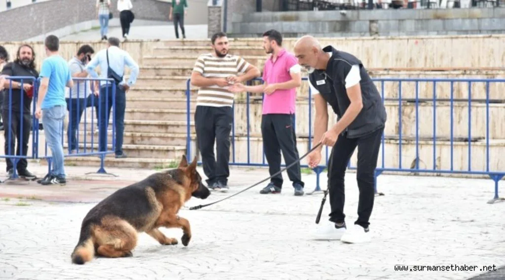 OMÜ Çalışanı ve Öğrencilerine AFAD’dan Temel Köpek Eğitimi