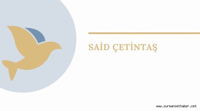 Said Çetintaş, Kurumsal Reklam Danışmanlığı 
