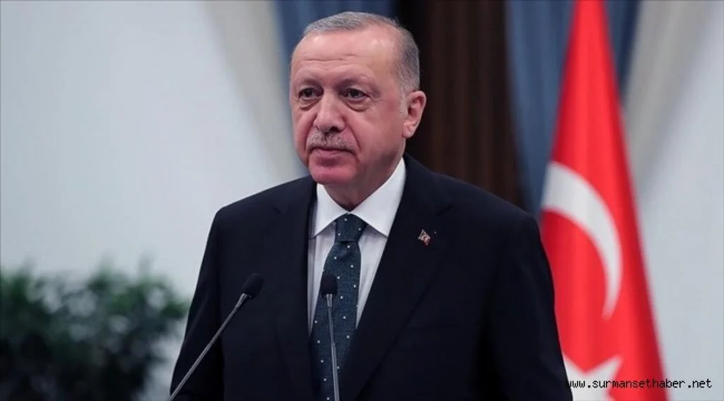 Cumhurbaşkanı Erdoğan: Selin etkili olduğu bölgelerde devlet tüm imkanlarıyla seferber oldu