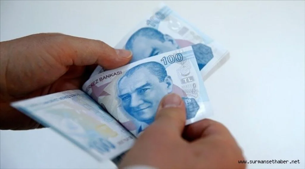 Orman yangınlarından etkilenen bölgelere 72,5 milyon lira nakdi yardım gönderildi