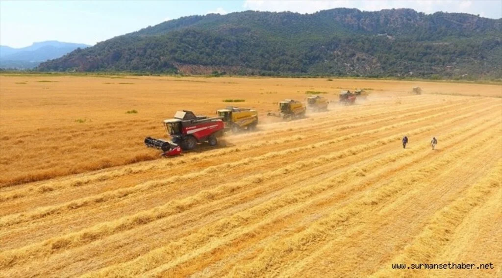 TÜRİB tarımsal ürün endekslerinde işlem hacmi 7,6 milyar lirayı geçti