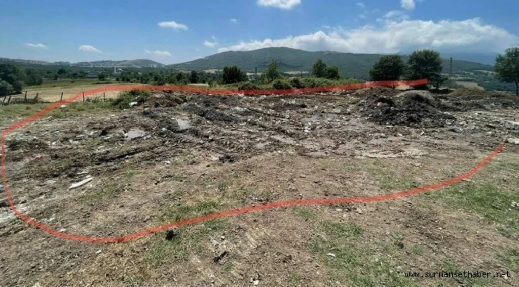 CHP'li Atakum Belediyesinden Çevre Katliamı