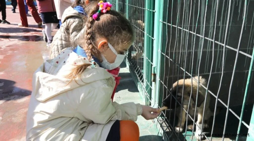 HAYVANLARI KORUMA GÜNÜ'NDE SEVGİ DOLU BULUŞMA 