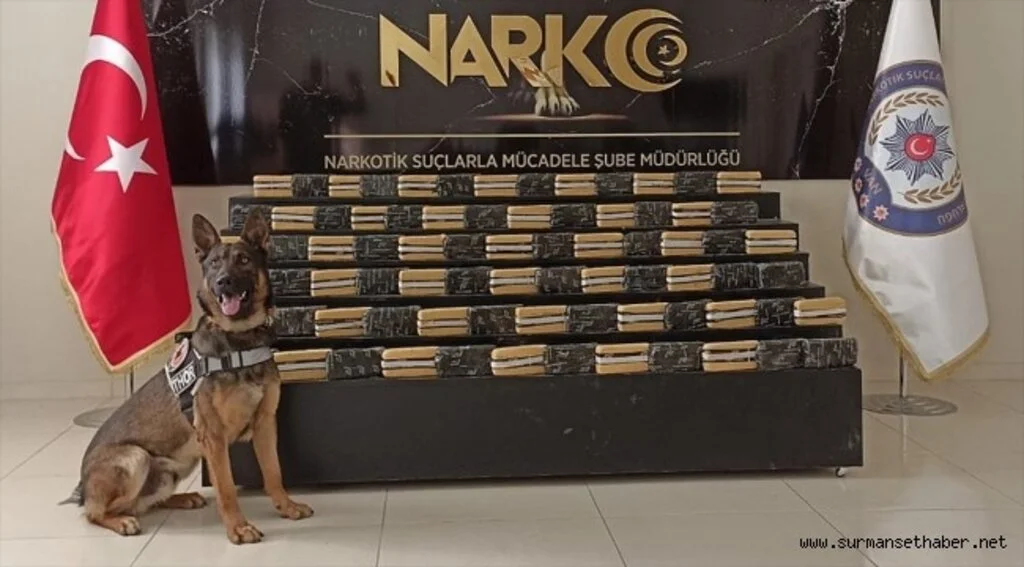 İçişleri Bakanlığı 10 ayda 16,5 ton eroin ele geçirildiğini bildirdi