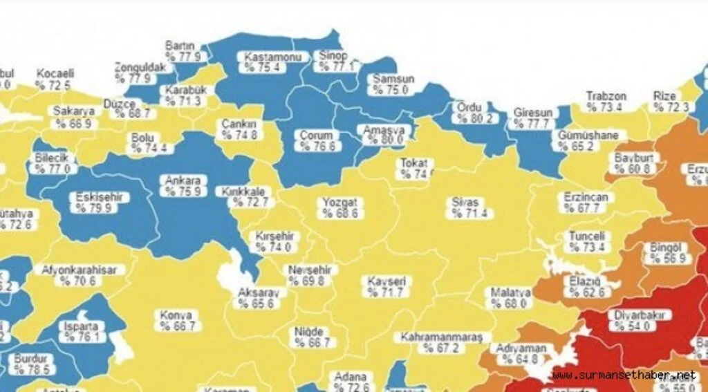 Samsun'un Rengi Mavi Oldu