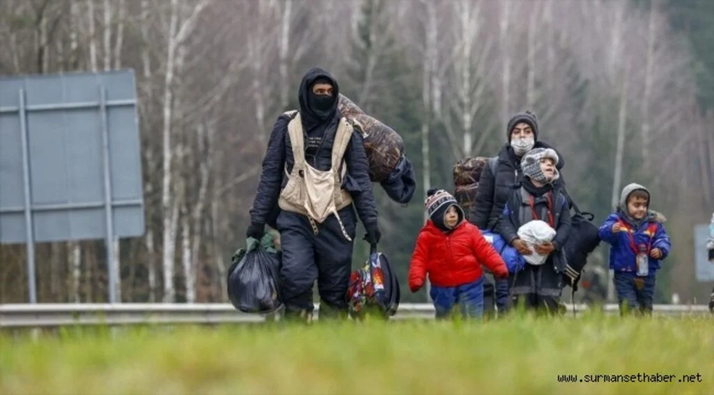 Anadolu Ajansı, göçmen krizinin yaşandığı Belarus-Polonya sınırında