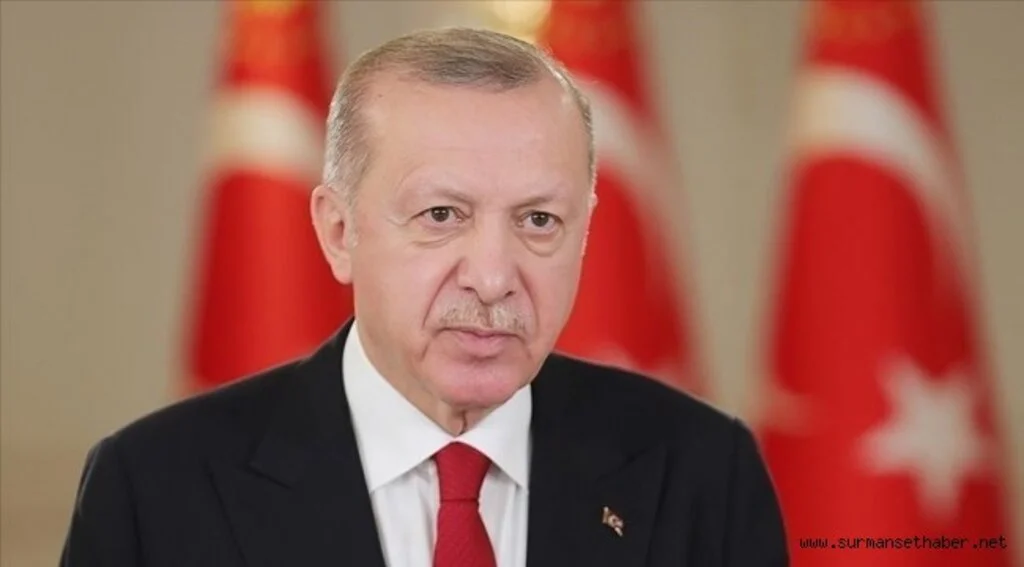 Cumhurbaşkanı Erdoğan: İYİ Parti'li Türkkan'ın şehit ailesine küfretmesi yenilir yutulur bir şey değildir