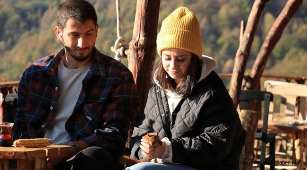 Kafe işletmecisi çiftin ormanda bulduğu sincap aileden biri oldu