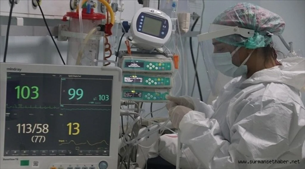 Türkiye'de 24 bin 467 kişinin Kovid-19 testi pozitif çıktı, 222 kişi yaşamını yitirdi
