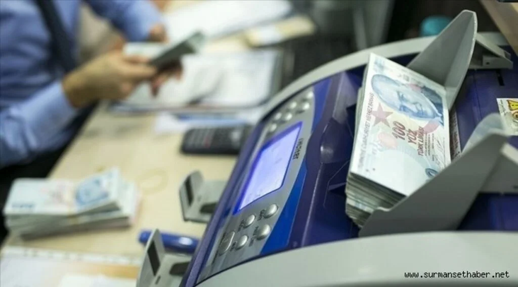 Bankalar dövize endeksli Türk lirası mevduatı işlemlerine başlıyor