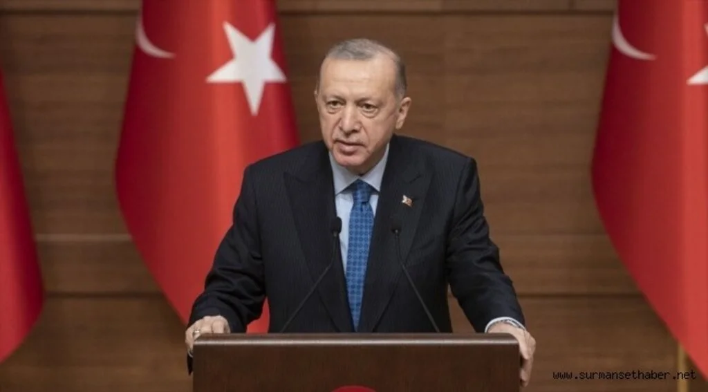 Cumhurbaşkanı Erdoğan'dan 2021'de yoğun diplomasi trafiği