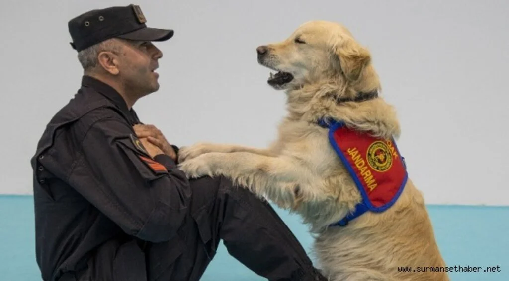 Elazığ Depreminin Kahraman Köpeği 'Olgun' Ankara'daki Tanıtım Günlerinde Marifetlerini Sergiledi