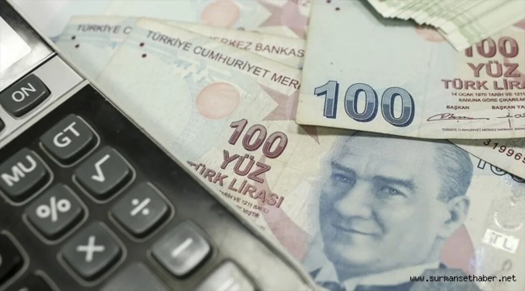 Tarımsal desteklerden kesilen gelir vergisinin iadesi için başvuru süresi 31 Aralık'ta dolacak