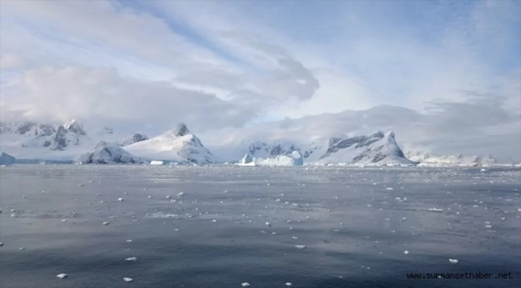 Antarktika'da 'dünyanın en büyük balık üreme kolonisi' keşfedildi