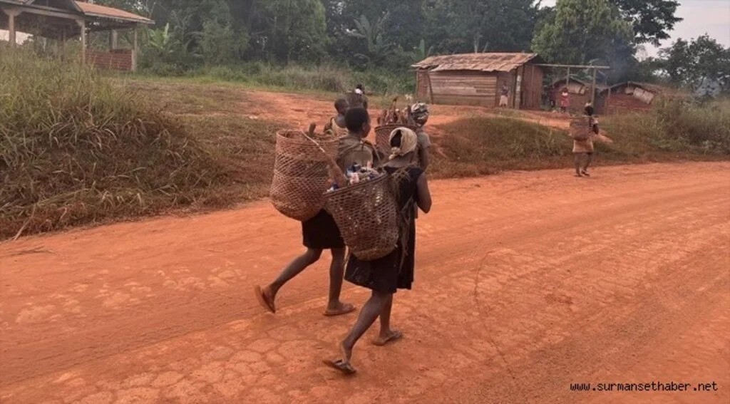 Kamerun'da Pigmeler 5 bin yıldır yaşadıkları ormanlardan zorla çıkartılıyor