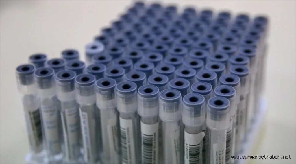 PCR testi zorunluluğu kaldırıldı