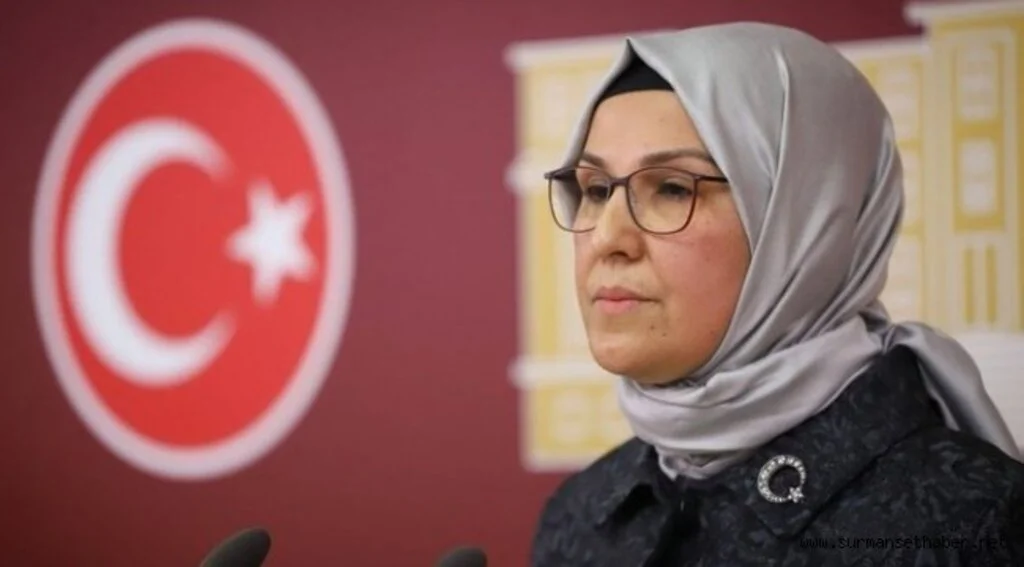 AK Parti Milletvekili Katırcıoğlu'ndan CHP'li Tarhan'a Çağrı ''Hodri Meydan''