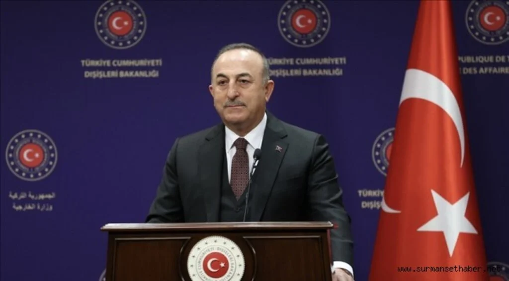 Dışişleri Bakanı Çavuşoğlu: Yunanistan uluslararası hukuka aykırı şekilde geri itme politikasını devam ettiriyor