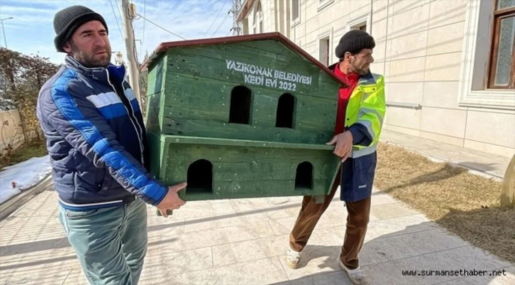 Elazığ'da Atık paletlerden içleri ısıtan yuva
