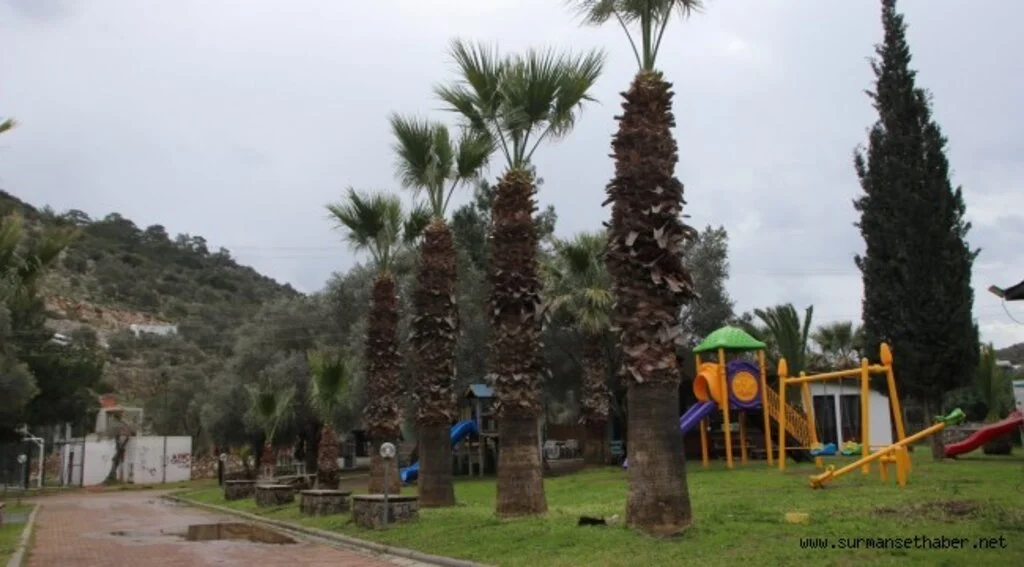 FATMA GİRİK’İN İSMİ BODRUM'DA YAŞATILACAK