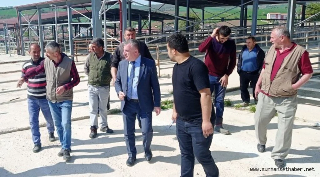 Havza Kapalı Canlı Hayvan Pazarı bayram sonu açılıyor