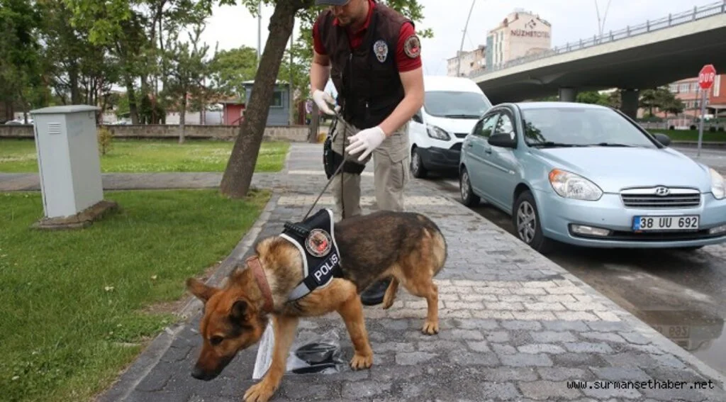Kayseri'de İz Takip Köpeği "Reks" Kayıpların Bulunmasında Önemli Rol Üstleniyor