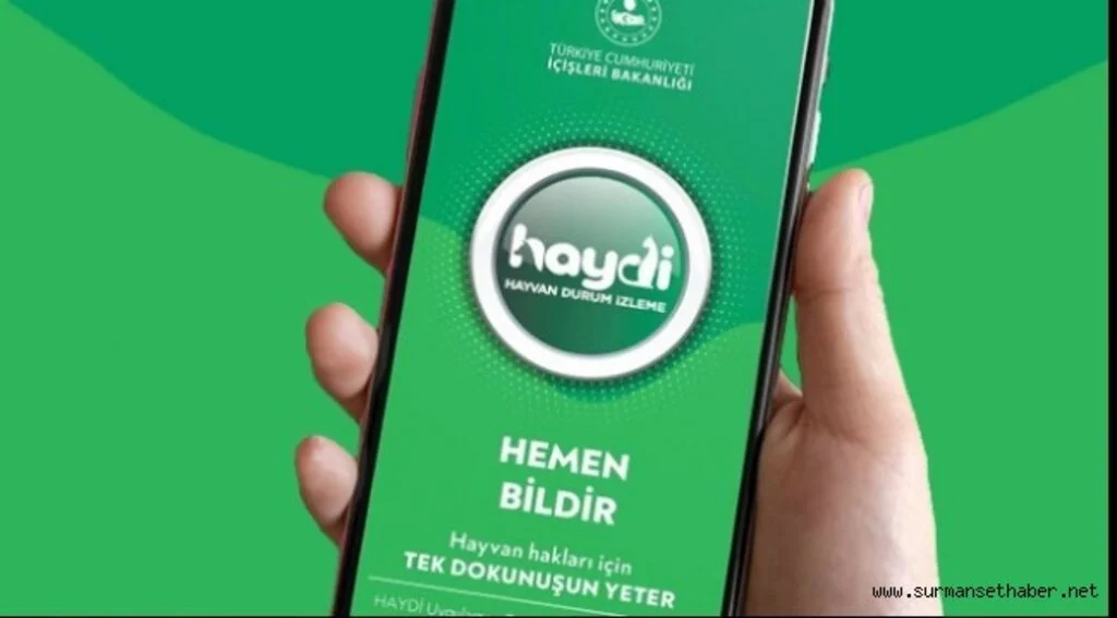 HAYDİ Uygulaması 2 Yaşında