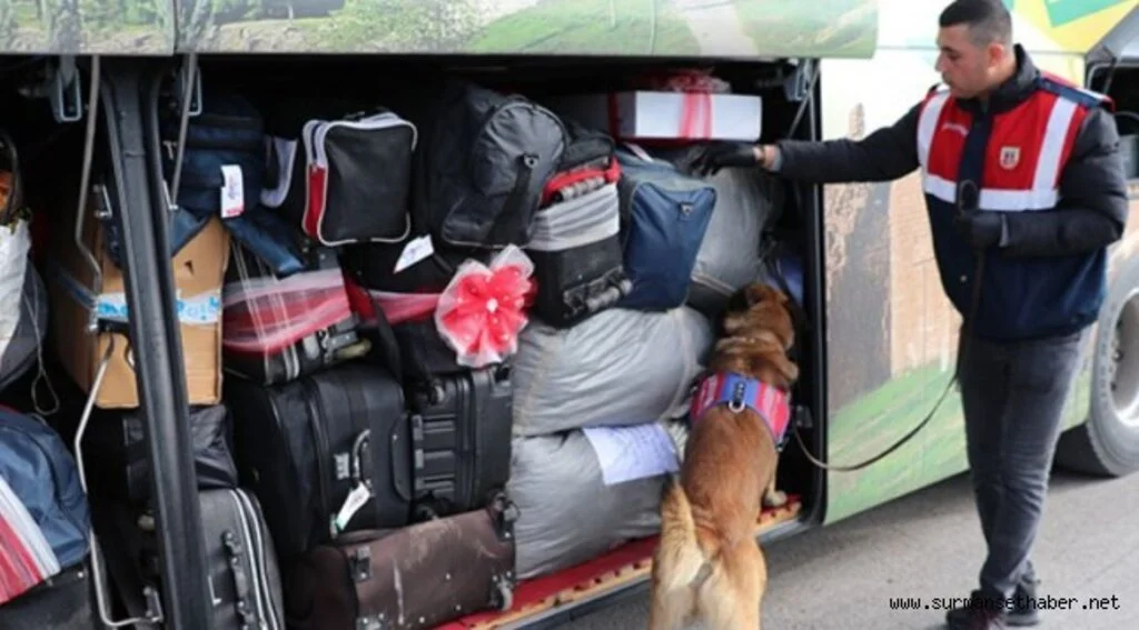  Bolu'da Narkotik Operasyonlarının Gözde Köpeği "Asır" Uyuşturucuya Geçit Vermiyor