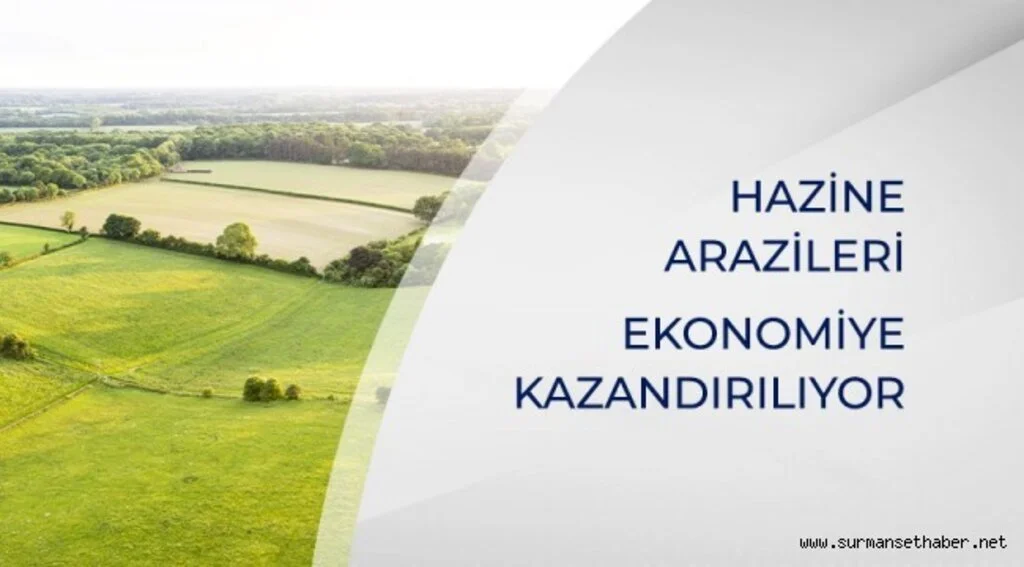 HAZİNE ARAZİLERİ EKONOMİYE KAZANDIRILIYOR