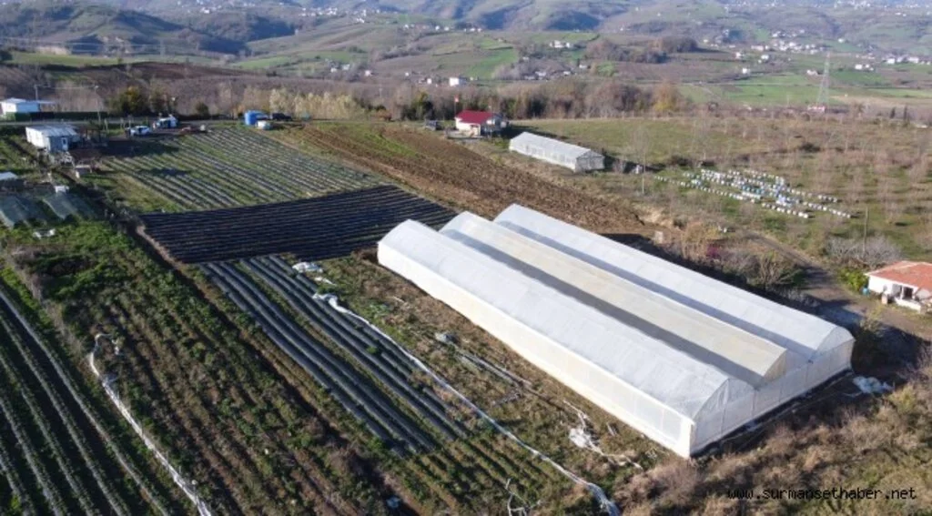   Tekkeköy Belediyesi çiftçiye sera desteği sağladı