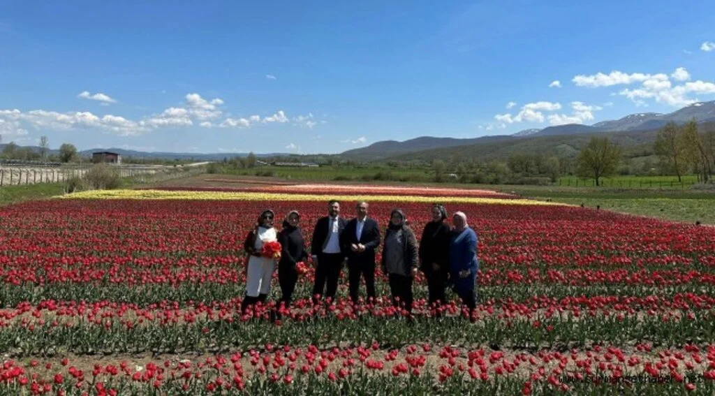 Orhan Kırcalı: Her alanda kadının katılımını ve rolünü güçlendireceğiz