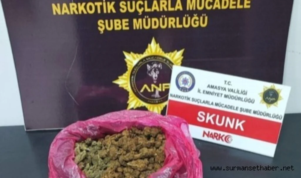 Amasya’da uyuşturucu madde tacirleri yakalandı