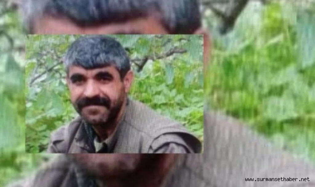 MİT, PKK’nın sözde eyalet sorumlusunu etkisiz hale getirdi