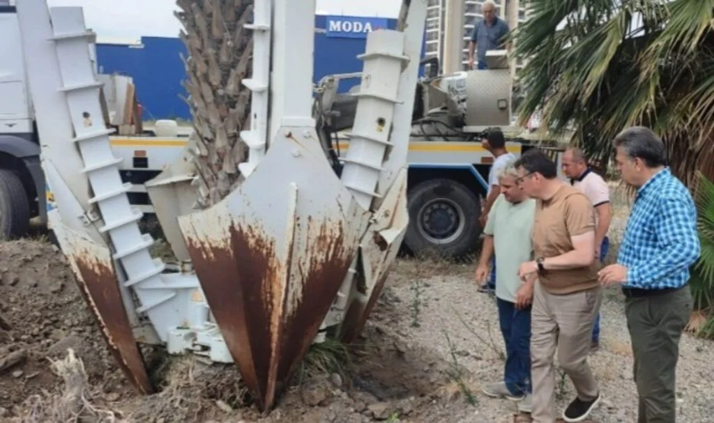 İskenderun Belediyesi’nden Ağaç Kurtarma Operasyonu