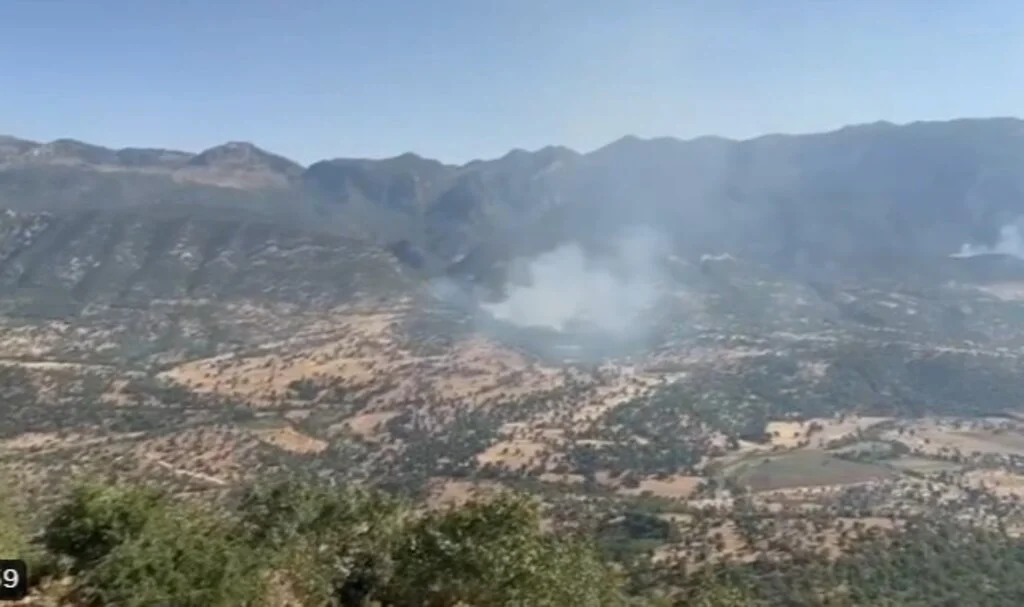 PKK'lı teröristler Türk askerinden gizlenmek için orman yakmaya başladı