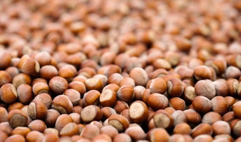 Ferrero, Sürdürülebilir Fındık İçin Kaydettiği Güçlü İlerlemeyi Ve Yeni Dönem Hedeflerini Açıkladı