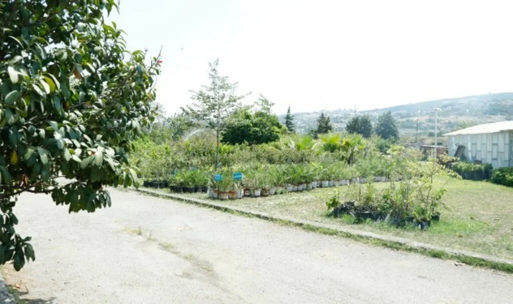 İlkadım’da ‘Ata Tohumu’ seferberliği