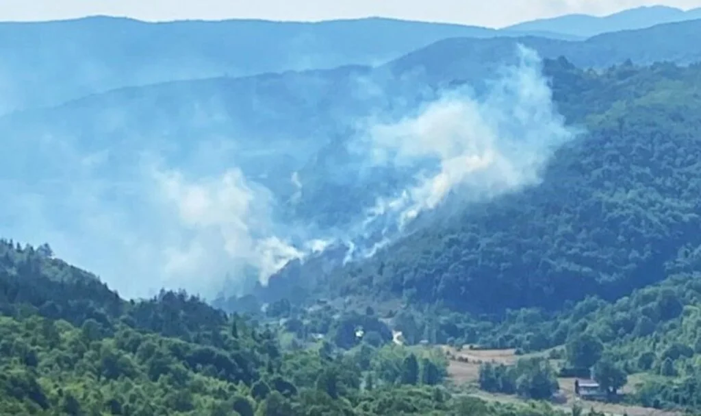 Kastamonu’da bir yangın daha