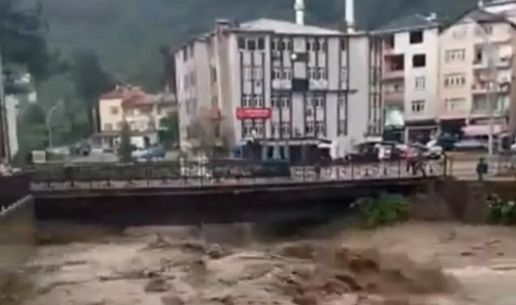 Ordu ve Muş’ta sel felaketi: 2 ölü