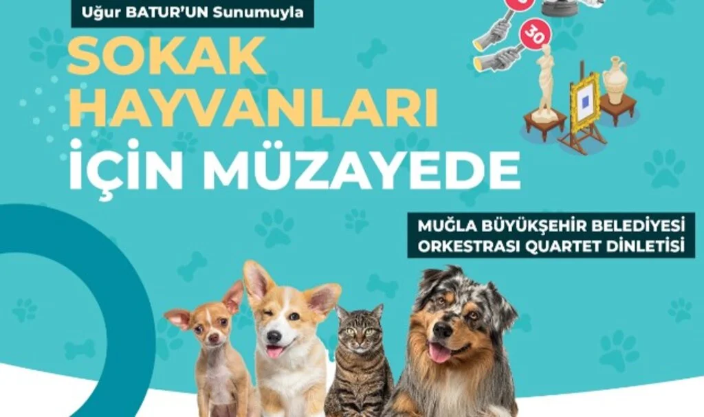 Büyükşehir'den Sokak Hayvanları Yararına Müzayede